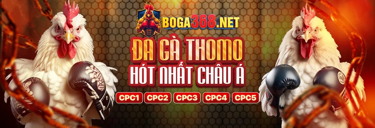 Đá gà trực tuyến kịch tính tại hot51 link mới