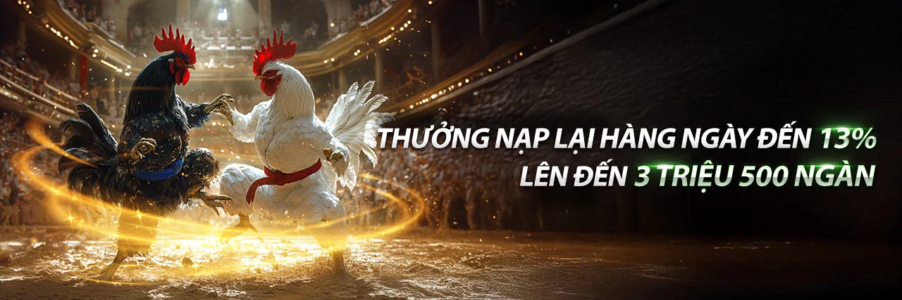 Sân vận động lớn với đèn sáng rực và khán giả cổ vũ, biểu tượng cho cá cược thể thao tại Hot51 link mới.